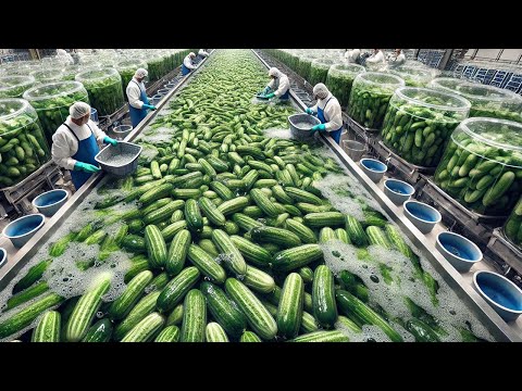 American Farmers Make Billions Of Dollars Processing Fruits And Vegetables This Way