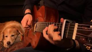 Linkin Park - Numb (Fingerstyle Guitar)