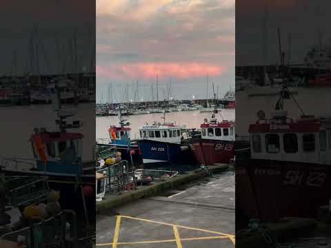 Scarborough harbour #shortsvideo  #boats  #harbour