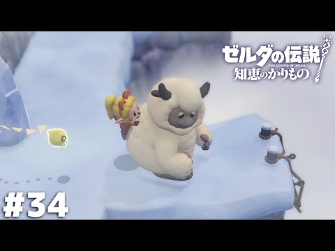 このリーゼントはそこそこ位の高いヤンキーですね…【ゼルダの伝説 知恵のかりもの】＃３４