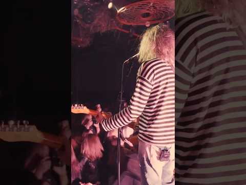 Nirvana- lithium #fromscratch #livemusic #nirvana #lithium