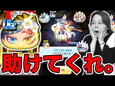 ぷにぷに「もう終わりだ‥」とーまのウェディングウォーズガシャがやばすぎる。【妖怪ウォッチぷにぷに】 ココロウバウネ登場 Yo-kai Watch part1653とーまゲーム