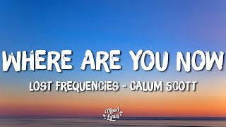 Lost Frequencies & Calum Scott - Where Are You Now (Lyrics)