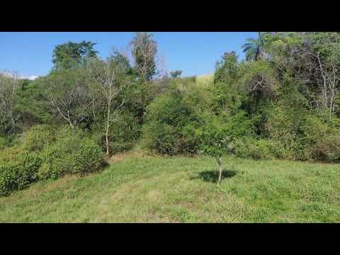 Lote 002- Origen Suroeste Antioqueño - 360°