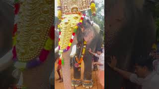 മച്ചാട് ജയറാം @ചിനകത്തൂർ പൂരം#elephant e#pooram #temple #entertainment #malayalam #tour