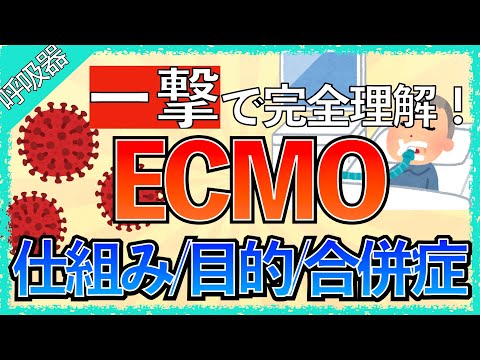 【新人Ns必見！】「ECMOってどんな機械？」ECMOの目的/種類/カニューレが太い理由/合併症をわかりやすく解説！