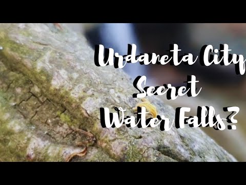 Secret Water Falls of Urdaneta City