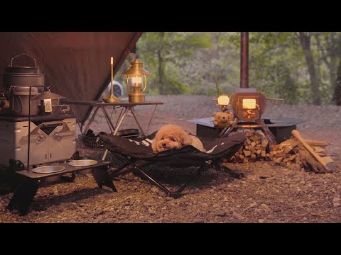 Solo Camping with My Dog . Relaxing in the Hot Tent . Wood Stove ASMR