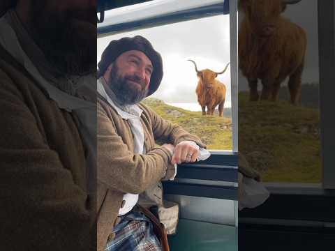 “Ode to a Highland Cow” written by Gillian Kyle