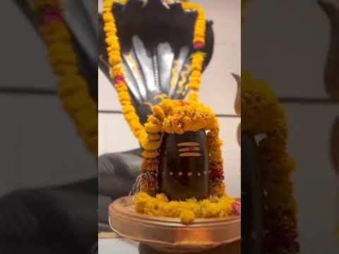 Dekh teri takdeer bnana 💞#mahadev#shortvideo#status#bholenath#viralshort#mahakal#bhakti#shiva#bhajan