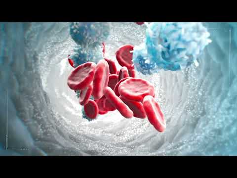 What is Gene and Cell Therapy - 3D Animation | Mass General Brigham