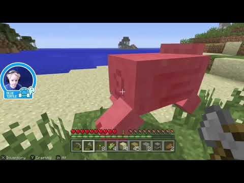 Blue Turtle finds gapples in Minecraft! | Blue Turtle