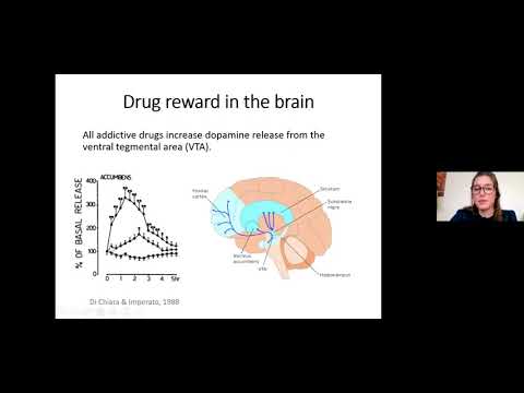 Mechanism to Medication: The Neural Circuitry With Opioid Use & Treatment  by Dr. Chloe Jordan