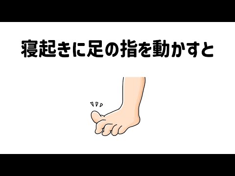 9割が知らない面白い雑学