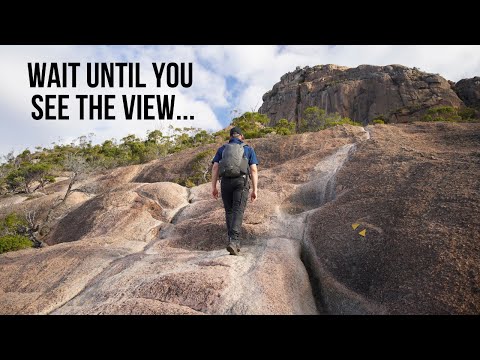 VERY STEEP climb to Mount Amos summit | Wineglass Bay, Freycinet National Park | Tasmania vlog #3