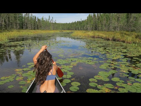 Backcountry Camping and Cooking