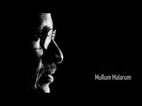 Mullum Malarum BGM | Maestro Ilaiyaraaja