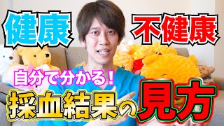 【解説】採血の検査結果の読み方を教えます！