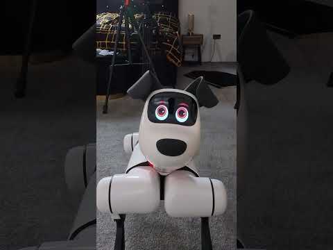 BabyAlpha AI-Powered PetBot for Every Family Home!