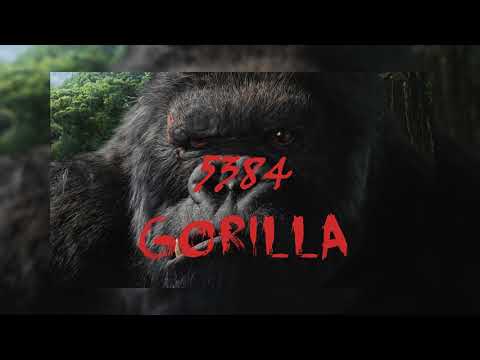 5384 - GORILLA