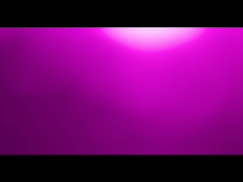 Pink Light Leaks and Lens Flares Overlay on Black Screen 4K / Free Download Link