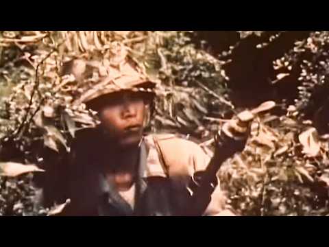 U.S. Special Forces vs. Communist Guerrilla Tactics