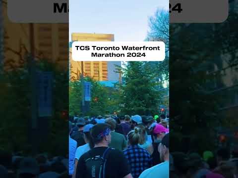 2024 TCS Toronto Waterfront Marathon #tcs #marathon #downtowntoronto