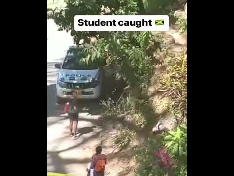 This jamaician student gets caught  #funny#news