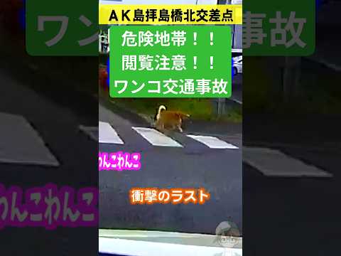 拝島橋北で交通事故の瞬間