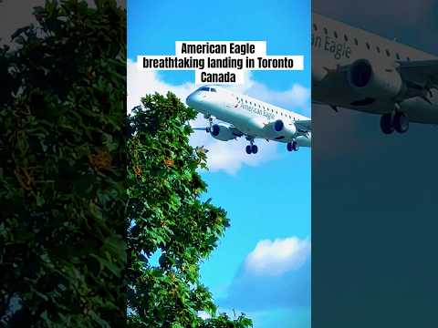 American Eagle breathtaking landing in Toronto #planespottertoronto #aviationexcellence  #yyz