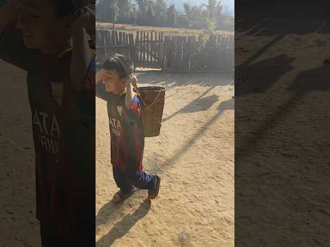 My son carrying pumpkin in village #shorts #youtubeshorts #villagelife #viralshorts #vijaynagar