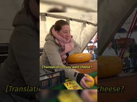 Dog Buys Cheese in DUTCH! #holland #gouda