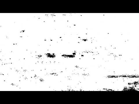 Dust and scratches white background // Free download