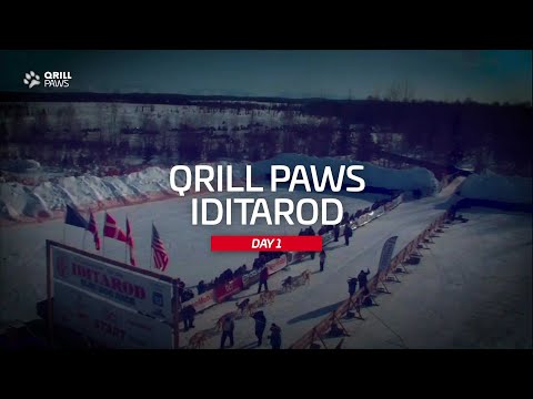 Iditarod Highlight | DAY 1 | QRILLPAWS 2021