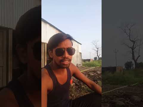 Kay tum payar karta ho srots #funny #viralvideo #singhamagain #singrauli