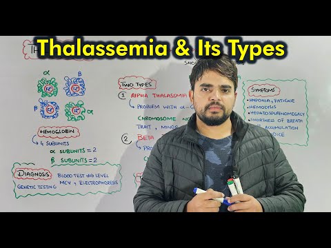 Understanding Thalassemia: Types, Symptoms, Diagnosis, and Treatment