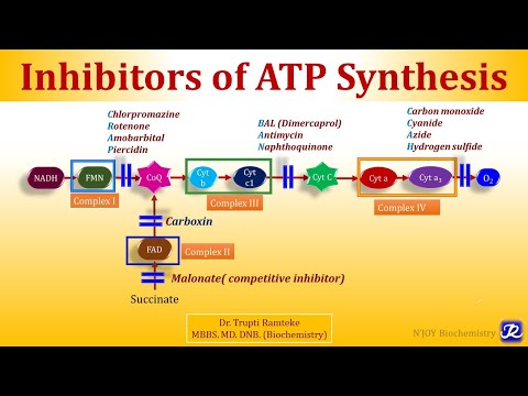 4: Inhibitors of Electron Transport Chain & Oxidative Phosphorylation | Biological Oxidation