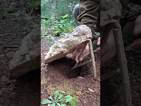 Trap  #bushcraft #trap  #survival