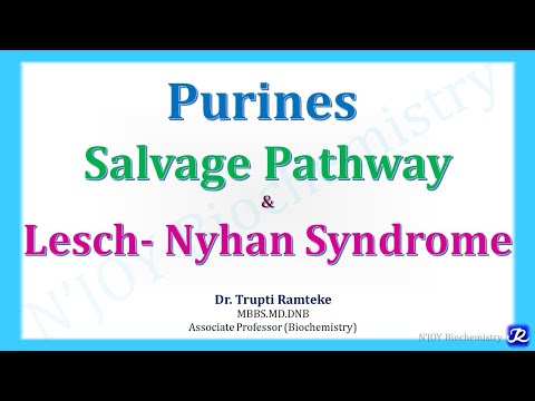 2: Purines salvage pathway & Lesch-Nyhan Syndrome | Nucleotide Metabolism | Biochemistry