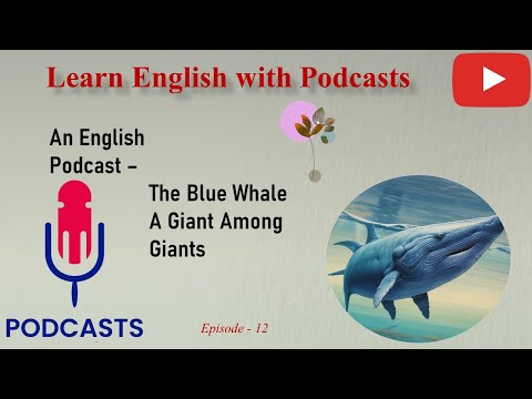 Learn English With Podcast | The Blue Whale: A Giant Among Giants | Graded Reader | Episode 12