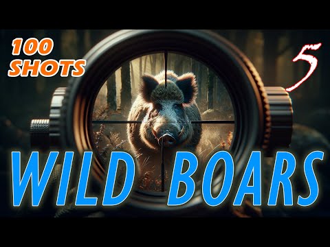 🎯Wild Boar 🐗100 shots compilation 🐗 05