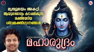 മൃത്യുഭയം അകറ്റി ആയുരാരോഗ്യം കടാക്ഷിക്കുന്ന ശക്തിയേറിയ ശിവഭക്തിഗാനങ്ങൾ | Devotional Songs Malayalam