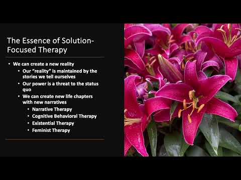 The Essence of Solution-Focused Therapy