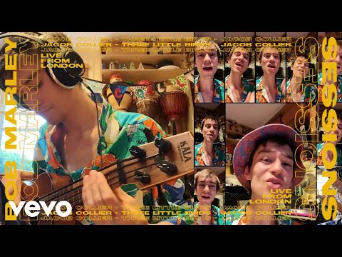 Jacob Collier - Three Little Birds (Live Performance)