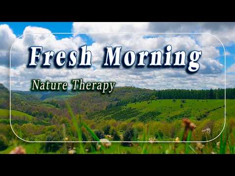 Healing Frequency Fresh Morning⛰️˚.🌲Nature Therapy 🌲Peaceful Meditative Meadow for Positive Energy