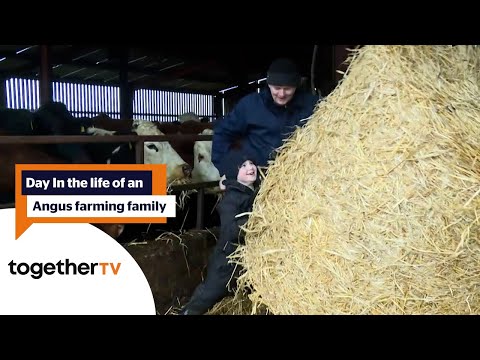 Day in the life of an Angus farming family | Rare Breed - A Farming Year | Together TV