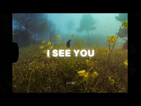 Northwest Stories - I See You (Lyrics)