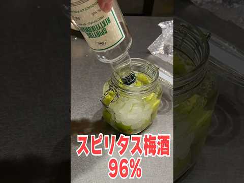 【死】世界最強の酒「スピリタス梅酒96％」を作ってみた！