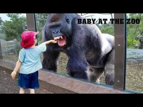 Kids And Animals | Funny Animals Video | new funny videos 2025  | All animal funny videos