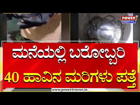 ಮನೆಯೊಂದರಲ್ಲಿ ಬರೋಬ್ಬರಿ 40 ಹಾವಿನ​​ ಮರಿಗಳು ಪತ್ತೆ | Power TV News